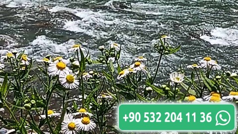 Kır evinin gerçek güzelliği iyi düşünülmüş olanaklarda yatmaktadır